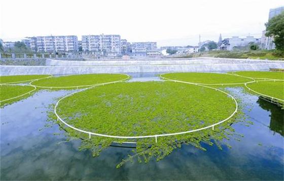 推動綠色發(fā)展促進產(chǎn)業(yè)轉型升級