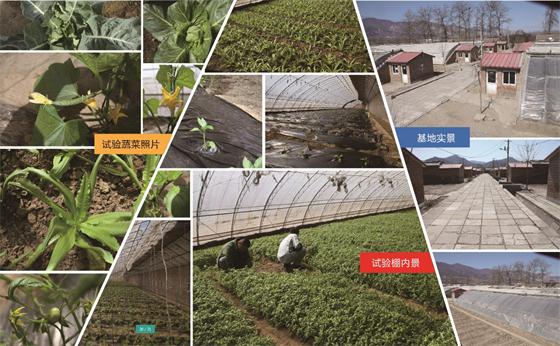 低碳農業(yè)可以從改善過度疲勞的土壤開始