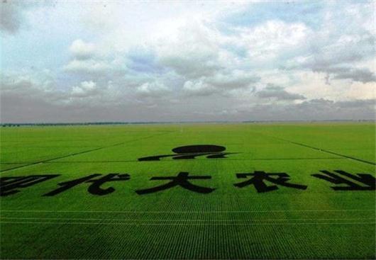農(nóng)業(yè)現(xiàn)代化做不好?找準這3點才是關鍵!