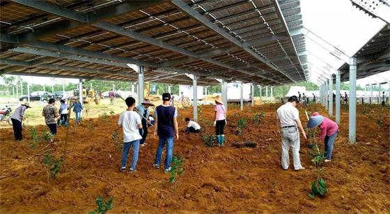 2018政府注入千億在農業(yè)建設，這3個是投資重點!