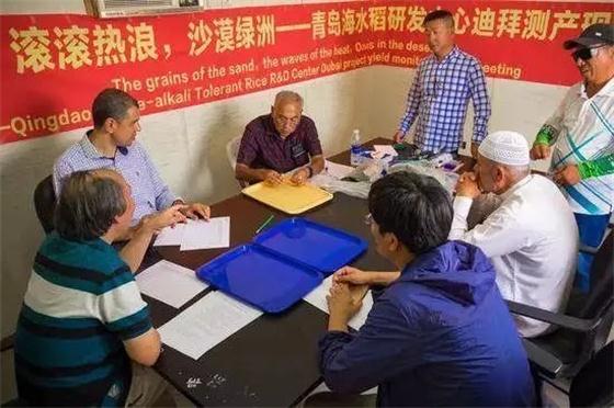 袁隆平團(tuán)隊(duì)在迪拜沙漠種出水稻，這一次，中國輸出的是技術(shù)!